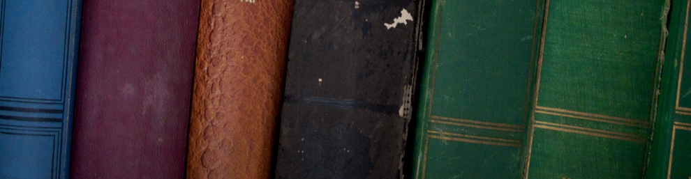 Photograph of the spines of several old cloth and leather bound books.